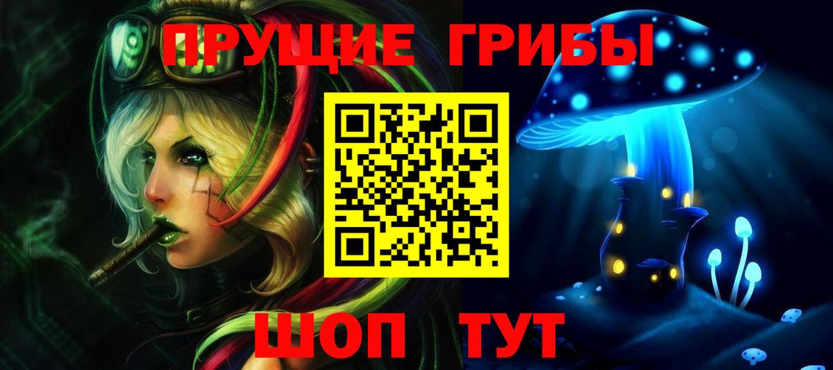 Галлюциногенные грибы Psilocybe  Вход с VPN  как найти закладки  Гурьевск 